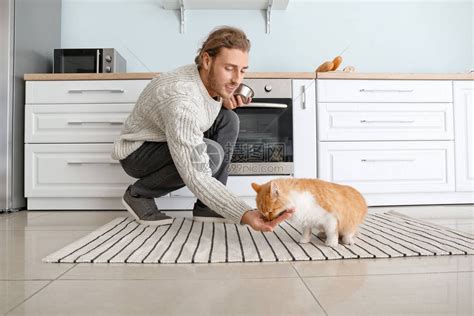 男人在厨房喂可爱的猫高清图片下载-正版图片503601421-摄图网