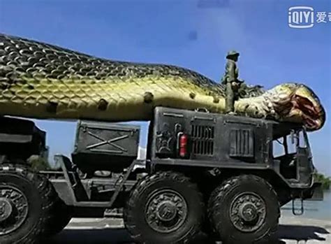 最大的蛇10000米图片