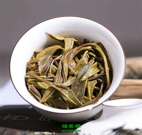 班盆古树茶的特点口感 班盆古树茶多少一斤_普洱茶_绿茶说