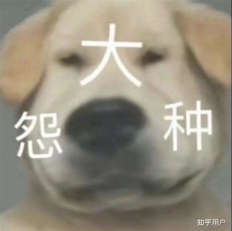 虚伪表情包图片