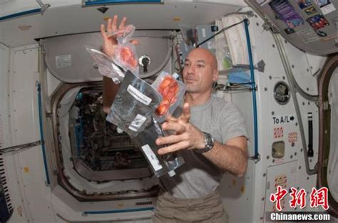 干饭人干饭魂 看看各国宇航员的“太空外卖”菜单 - 科技 - 新湖南