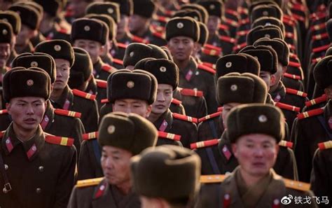 很好很强大！北朝鲜军队迷彩服让日本网民叹服_3DM单机