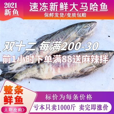 南极冰鱼 300克+包冰 冰鱼 速冻 海鲜 餐饮 烧烤火锅食材5公斤/件-阿里巴巴