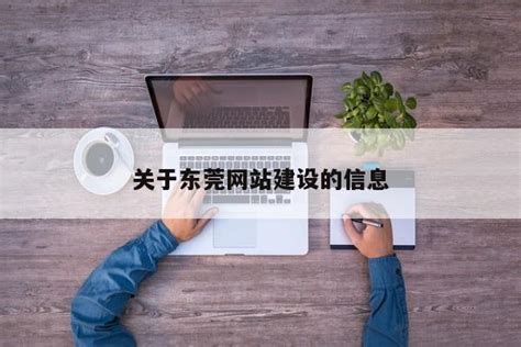 关于东莞网站建设的信息-维启网络