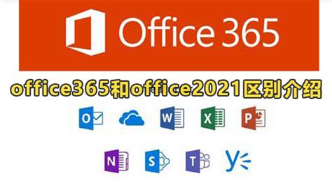 office365和office2021有何区别-office365和office2021区别介绍-59系统乐园
