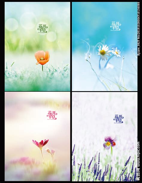 花开半夏图片