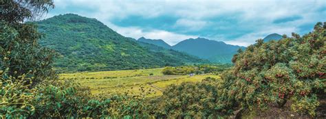 惠州镇隆镇地图,惠阳区,广东省_大山谷图库