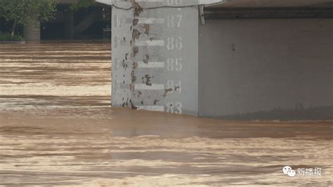 柳江出现今年首轮超警洪水 最高水位83.11米_防洪