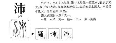沛在古汉语词典中的解释 - 古汉语字典 - 词典网