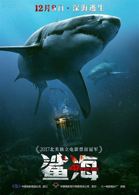 《巨鲨之夺命沙滩》上映 赵奕欢上演鲨口逃亡险象环生__凤凰网