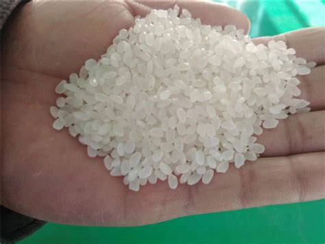 福建东北珍珠米厂家批发、加工、厂家、生产厂家、收购 -- 金源米业