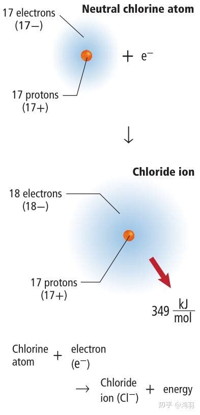 4．了解离子的形成过程.认识离子是构成物质的一种粒子.——青夏教育精英家教网——