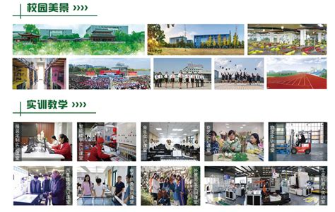 安庆职业技术学院机电工程学院：校企携手再发力 就业服务再提升——开展2020级岗位实习宣讲会