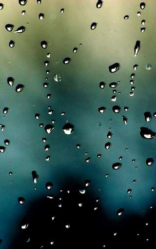 壁纸雨滴 - 主题爱好者资源分享 花粉俱乐部