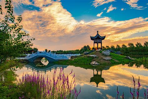 何必远行，最美的风景就在身边——梅城长白山植物园-梅河口旅游攻略-游记-去哪儿攻略