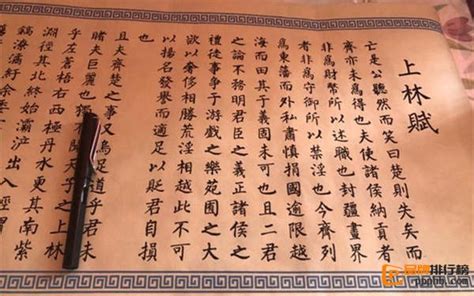 挑战手写《上林赋》，全长五米，四千余字！限时5分钟能写多少字
