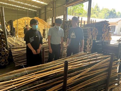 【川内】年产8万吨竹浆模塑项目正式投产 - 省内 - 四川省造纸行业协会