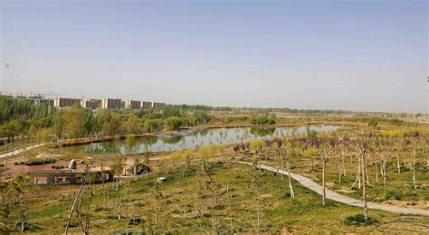 绿水青山丨新疆喀什北湖湿地公园：波光粼粼新绿绕 -天山网 - 新疆新闻门户