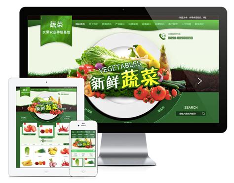 蔬菜基地网站建设|蔬菜水果网站源码|瓜果蔬菜网站模板-易优CMS