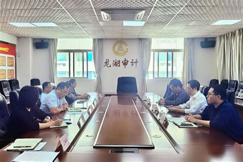河南省审计厅-洛阳市审计局2023年度上半年工作总结会召开