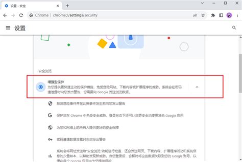 谷歌浏览器在哪关闭安全搜索功能_谷歌浏览器开启麦克风权限的步骤-天极下载