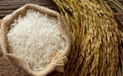 吉林最好吃的大米排名 - 惠农网