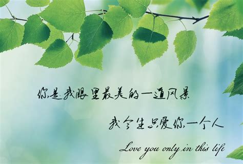 精美的说说配图图片