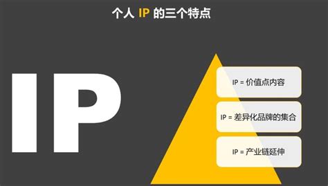 自媒体IP训练营(12+13期)一套全新的“公域引流，私域成交”IP打法 开单赚钱_阳叔网创