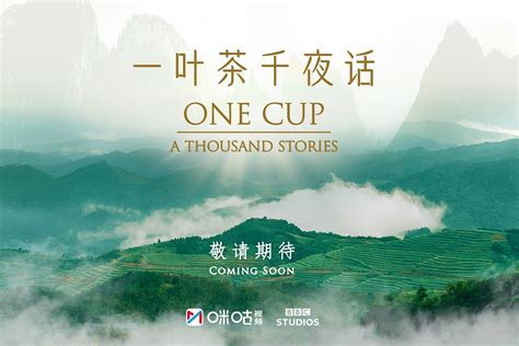 BBC历时三载精心打造纪录片《一叶茶千夜话》还原中国“茶”世界_凤凰网视频_凤凰网