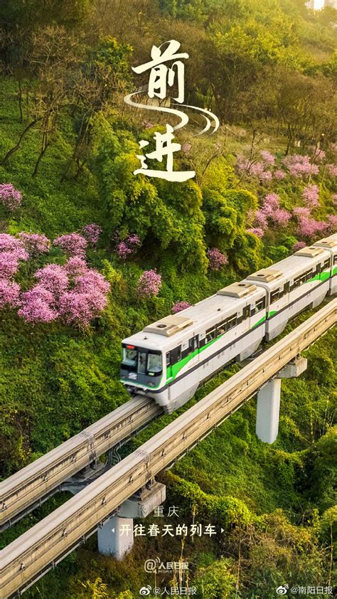 一路繁花一路春！春天里的中国自带氛围感