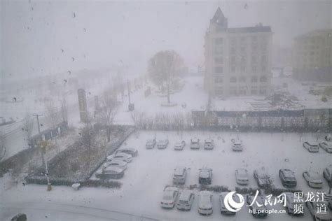 黑龙江省迎来雨雪、低温、大风天气 黑河等地有大到暴雪--人民网专稿--黑龙江--地方--首页