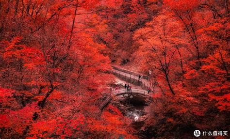十月最“火”自驾线路，枫叶之都辽宁本溪寻找最美的秋色 -本溪旅游攻略-游记-去哪儿攻略