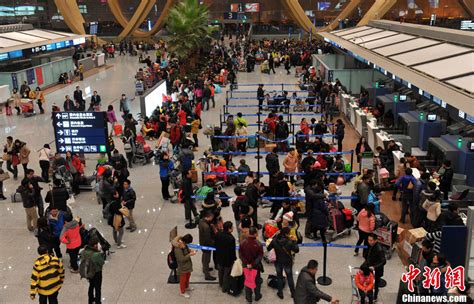 深圳机场国际化布局为城市发展注入新活力：为深圳扩大对外开放插上腾飞之翼