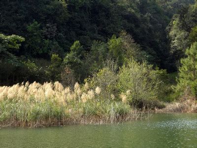 云南普洱五湖国家湿地公园官方网站