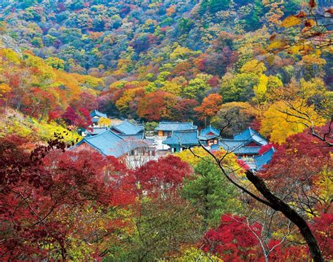 【韩国旅游】韩国国民最喜欢的山是江原道雪岳山_韩国新闻_聚焦韩国_韩语在线翻译网