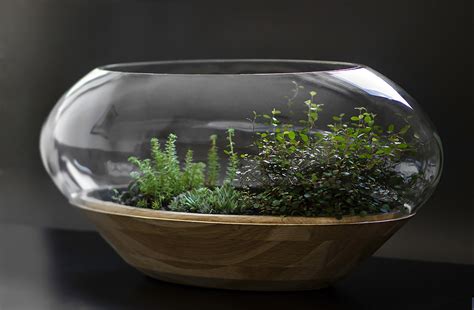 Noé——独特的景观容器，为您的植物增添风采！