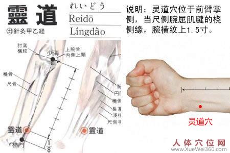 灵道的准确位置图图片