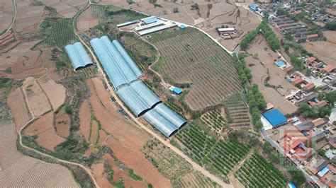 园丁标准化种植-标准化案例-山东园丁农业发展有限公司