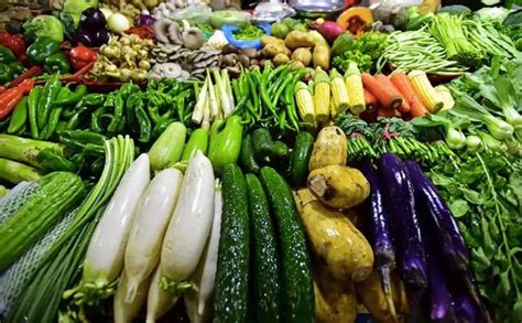 蔬菜配送__产品展示_沈阳康洁餐饮管理有限公司