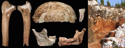 云南蒙自马鹿洞新发现神秘人种股骨--发现古老型人类幸存最晚的记录|云南省文物考古研究所
