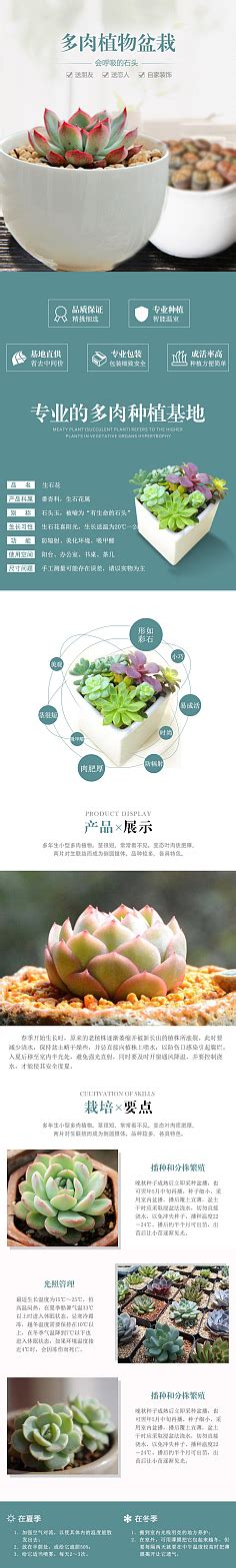 盆摘 植物-详情页-花瓣网|陪你做生活的设计师 | 详情页模板（多肉）14