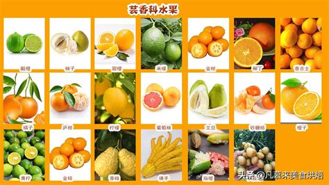 水果大全500种,水果名称大全_大山谷图库