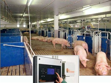 规模化猪场智能化饲养设备发展现状及成本效益 | 农机新闻网,农机新闻,农机,农业机械,拖拉机