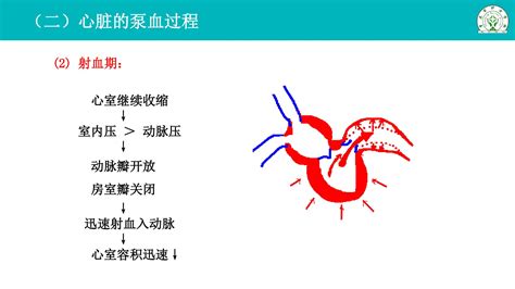 《第三节 输送血液的泵心脏》2012年审定人教版七年级生物下册_中学课本网
