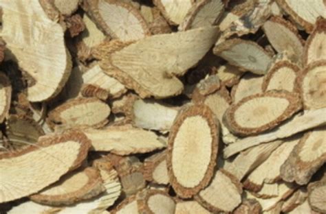 木通的功效与作用 木通的用法用量和使用禁忌 - 中药360