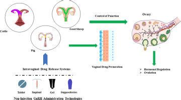 Control of ovarian function using non-injection technologies for GnRH ...