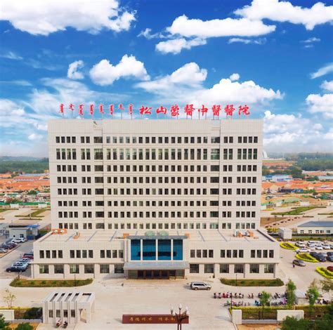 保山市人民医院 - 北京标软信息技术有限公司
