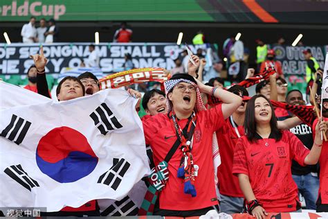 高清图：乌拉圭VS韩国 球迷佩戴马面头套惊现看台-搜狐大视野-搜狐新闻