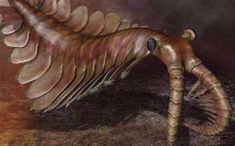 BBC 经典纪录片《与巨兽同行》第一阶段：寒武纪生命大爆发！你知道人类是如何进化而来的吗？