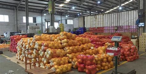 广州水果批发市场在哪里（广州大型水果批发市场） - 尚淘福